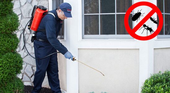 Eğirdir Fare İlaçlama böcek ilaçlama ve haşere kontrolü — ilaclama-tr.com